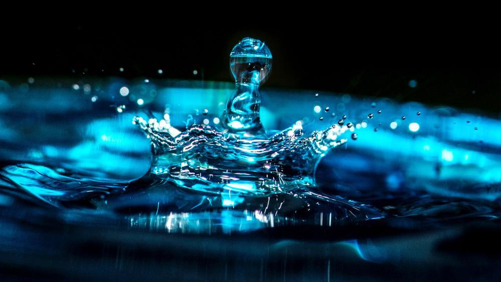 Hydroponics Agronomist or Grower Manager in South Asia